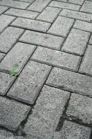 paving-block-290808_640