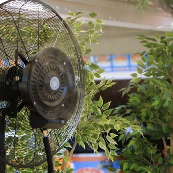 fan-2480080_640