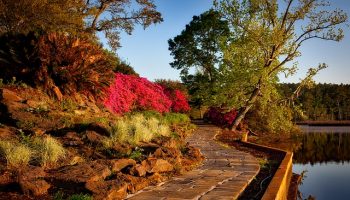 bellingrath-gardens-1612730_640