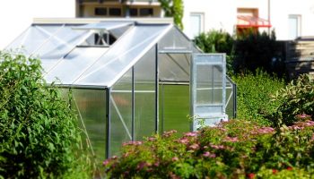 greenhouse-827464_640