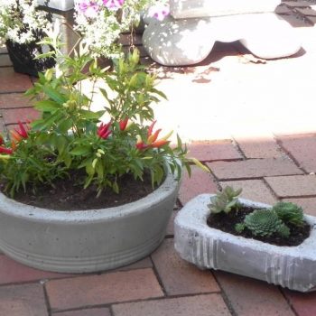 garden-diy-concrete-planters-cotcozy-106240