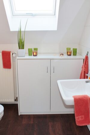 bathroom-1228427_960_720