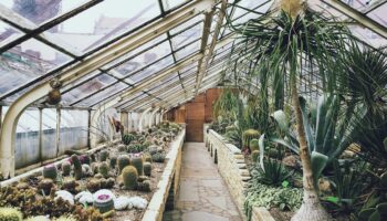 greenhouse-768740_960_720