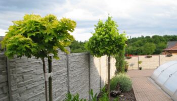 beton_plot
