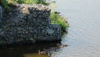 gabion